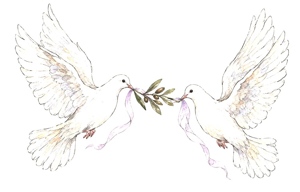 Two white doves flying toward each other with an olive branch